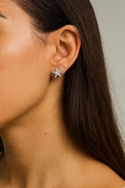 Colección de aretes S925